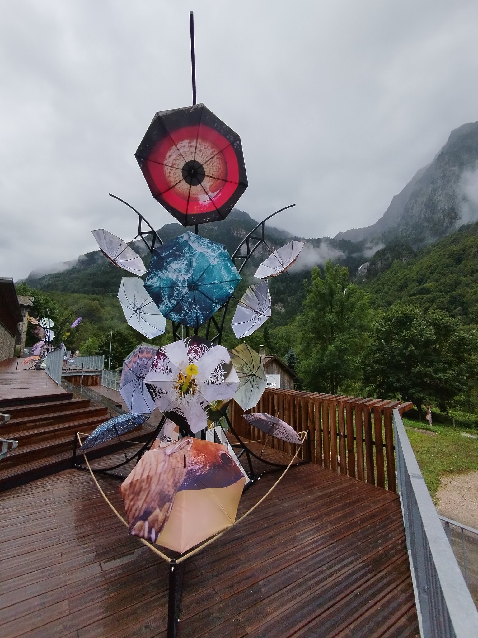 54376303694_d324ac8abb_k