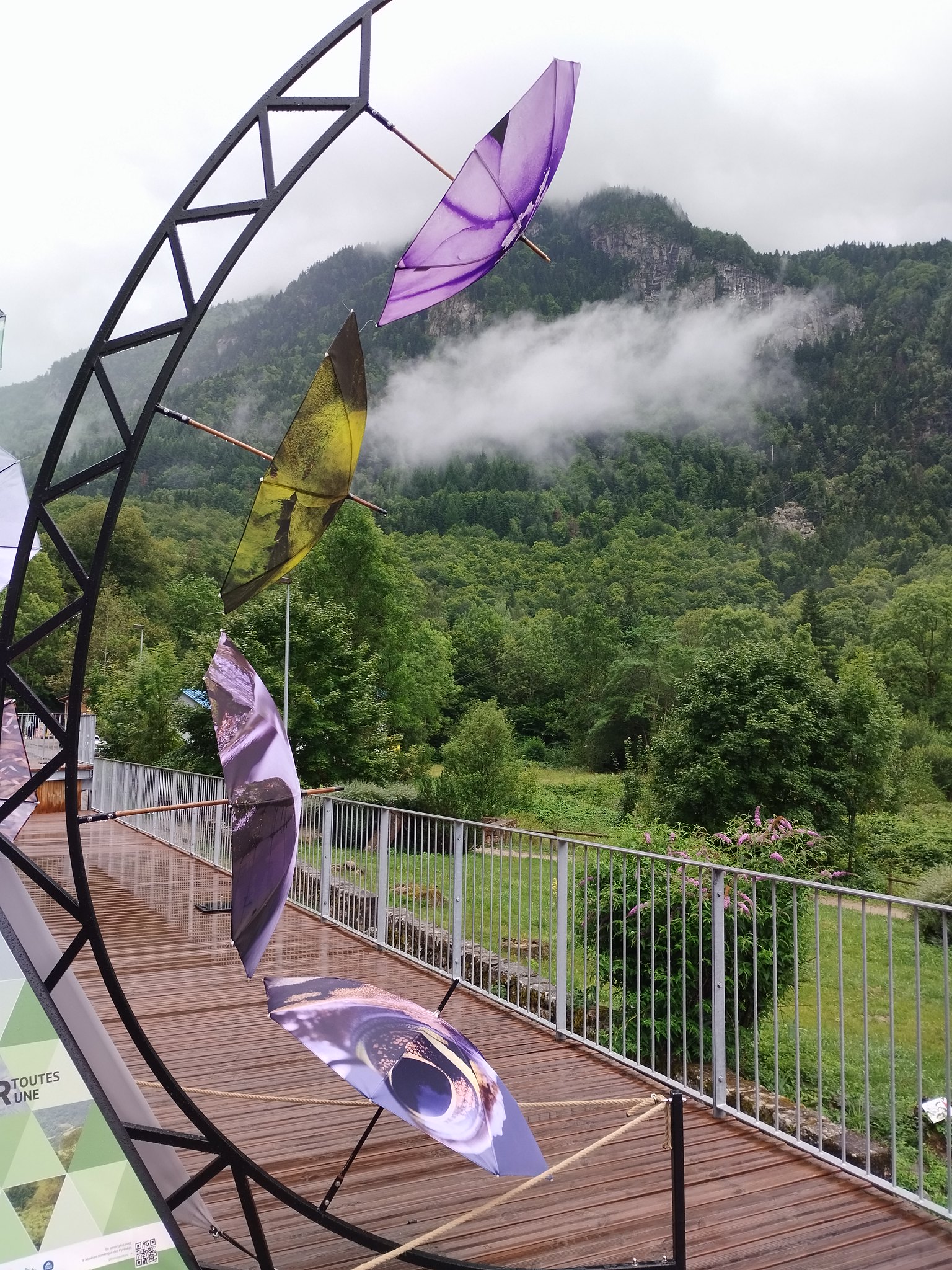 54376337793_36b30cc66b_k