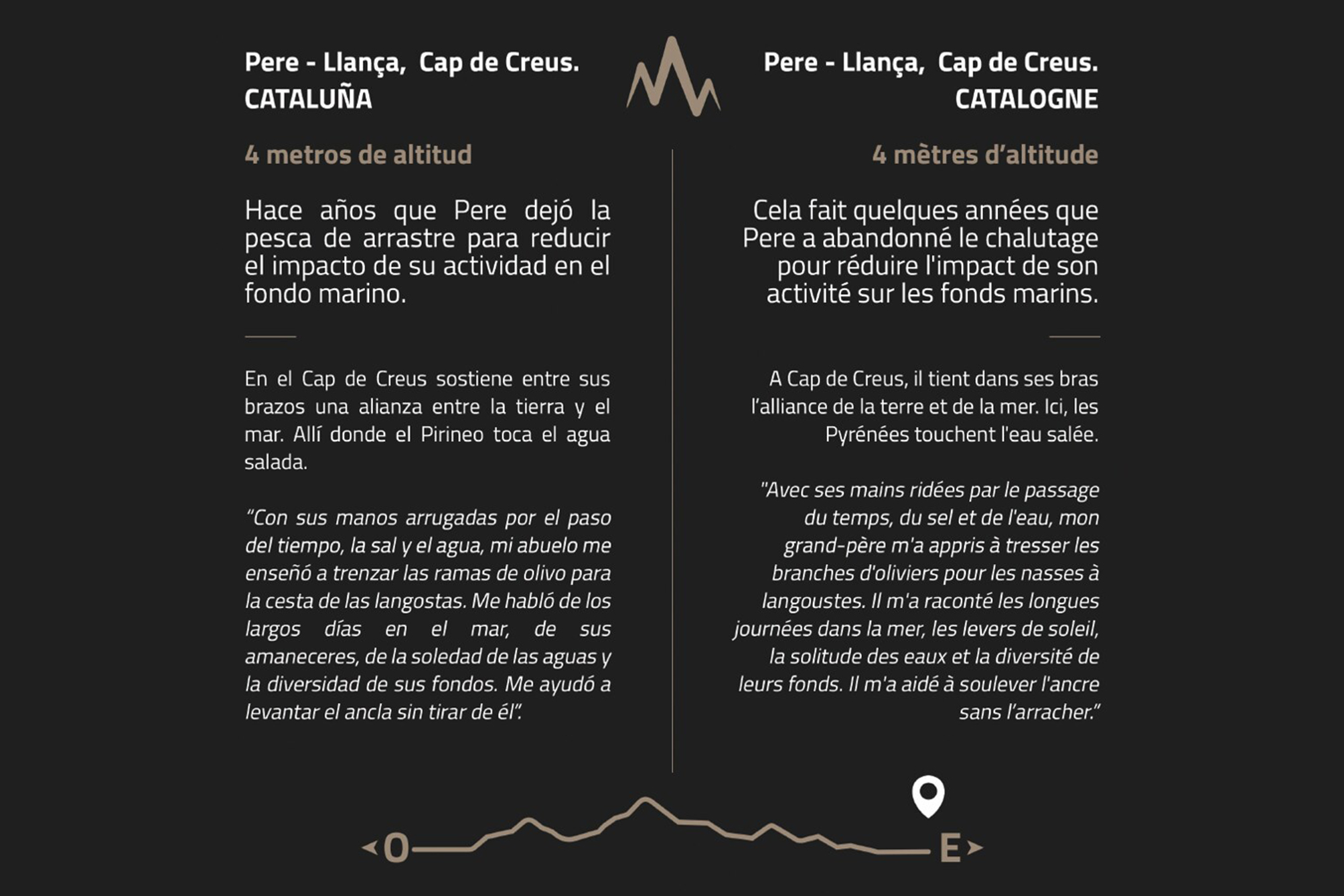 54378012858_51ea6192c5_b