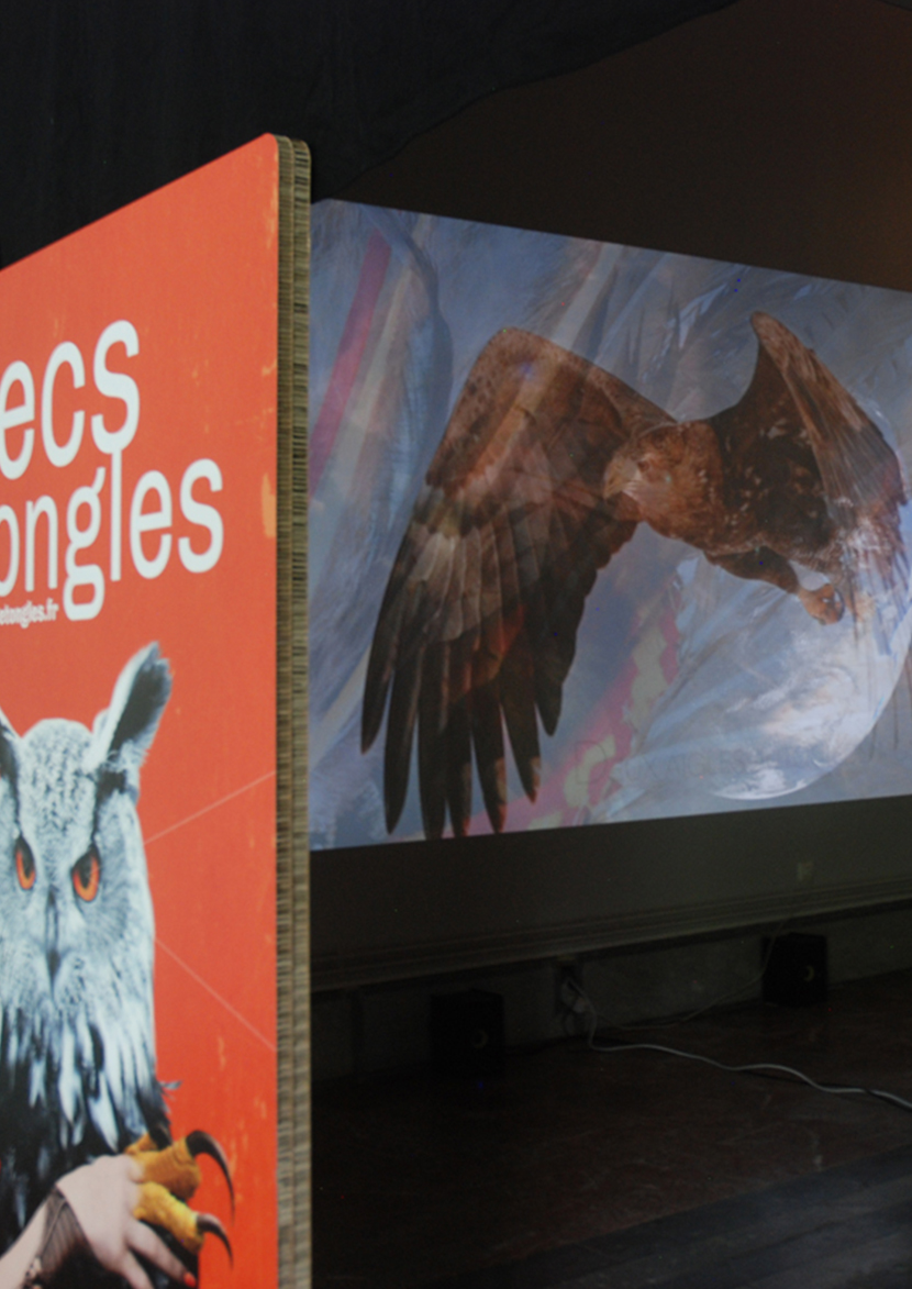 BECS ET ONGLES PEDAGOGIE copie