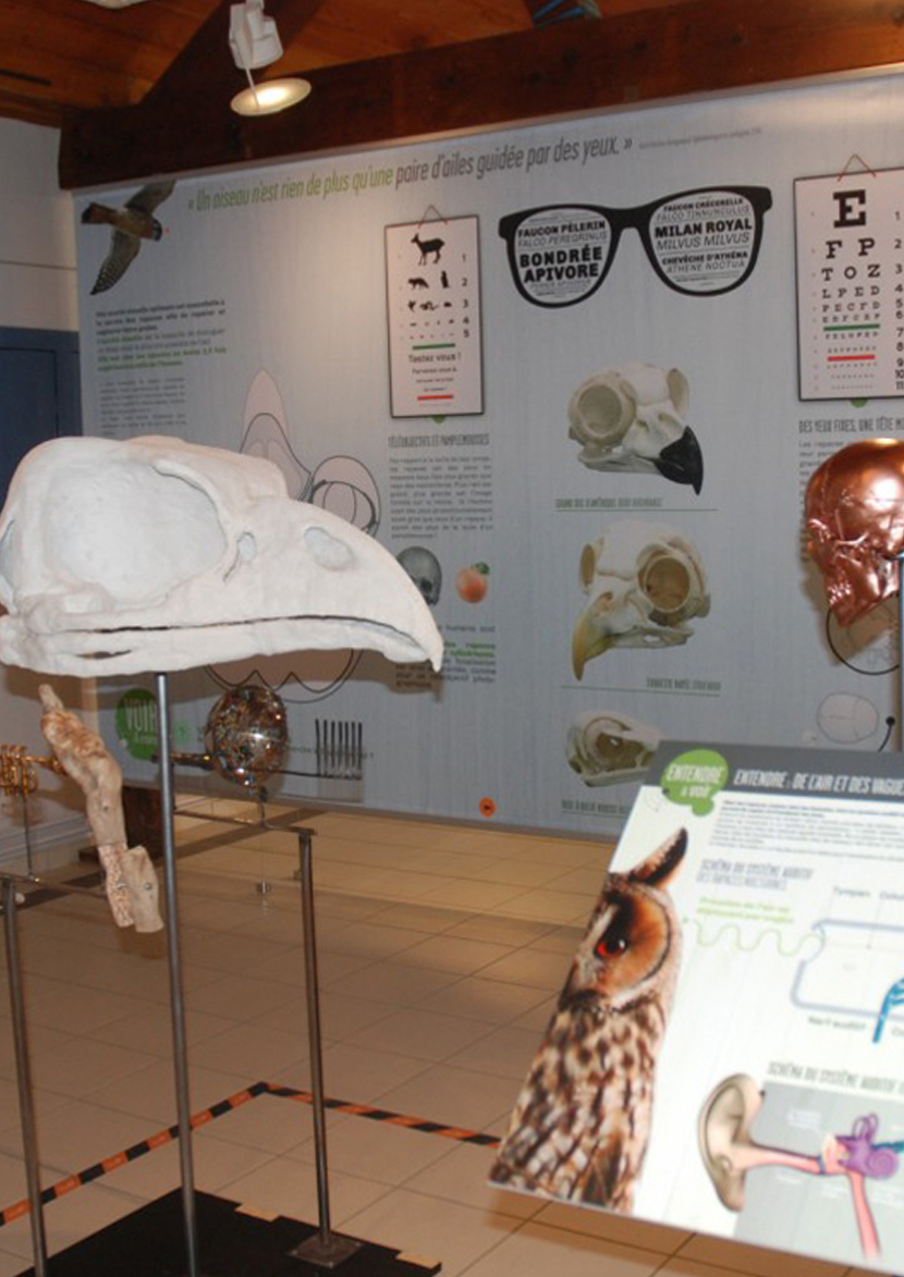 BECS ET ONGLES PEDAGOGIE copie2