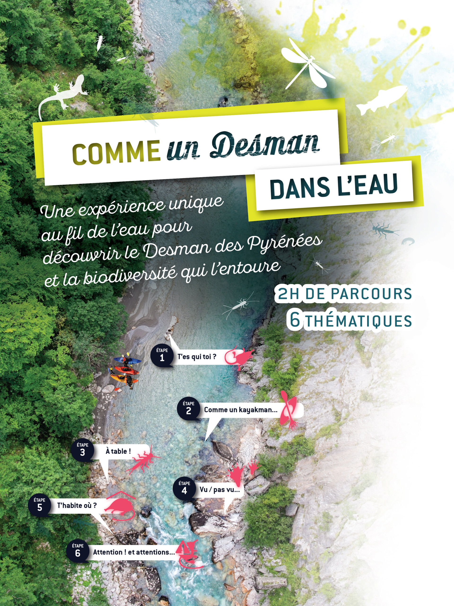 affiche desman aquatique