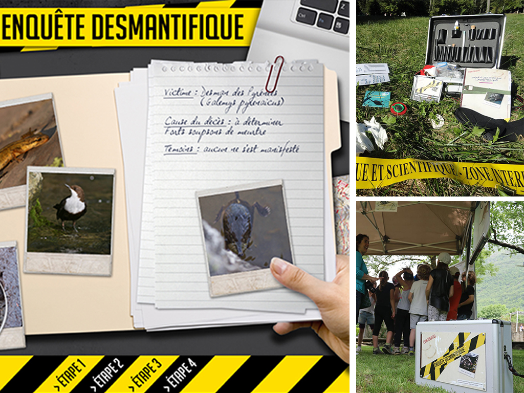 enquete desmantifique