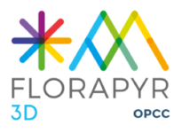 Florapyr-3D_bd_transp