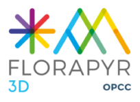 Florapyr-3D_bd_transp