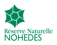 logo-rn-nohedes-rvb-vertical-vert